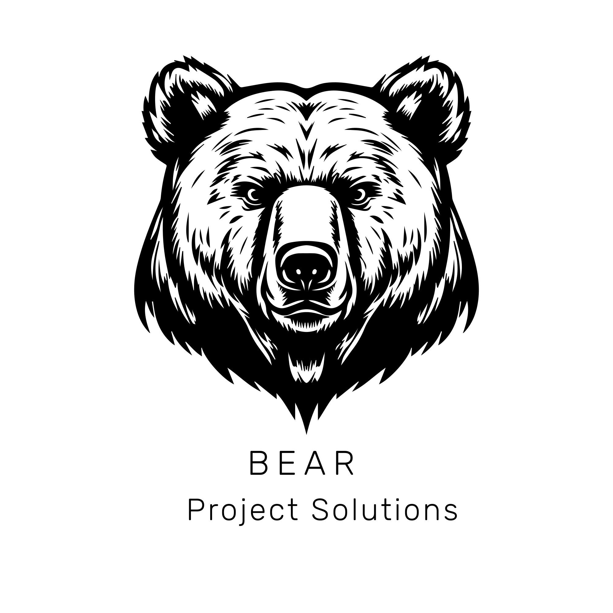 Bear Project Solutions logo